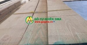 gosoinhapkhau