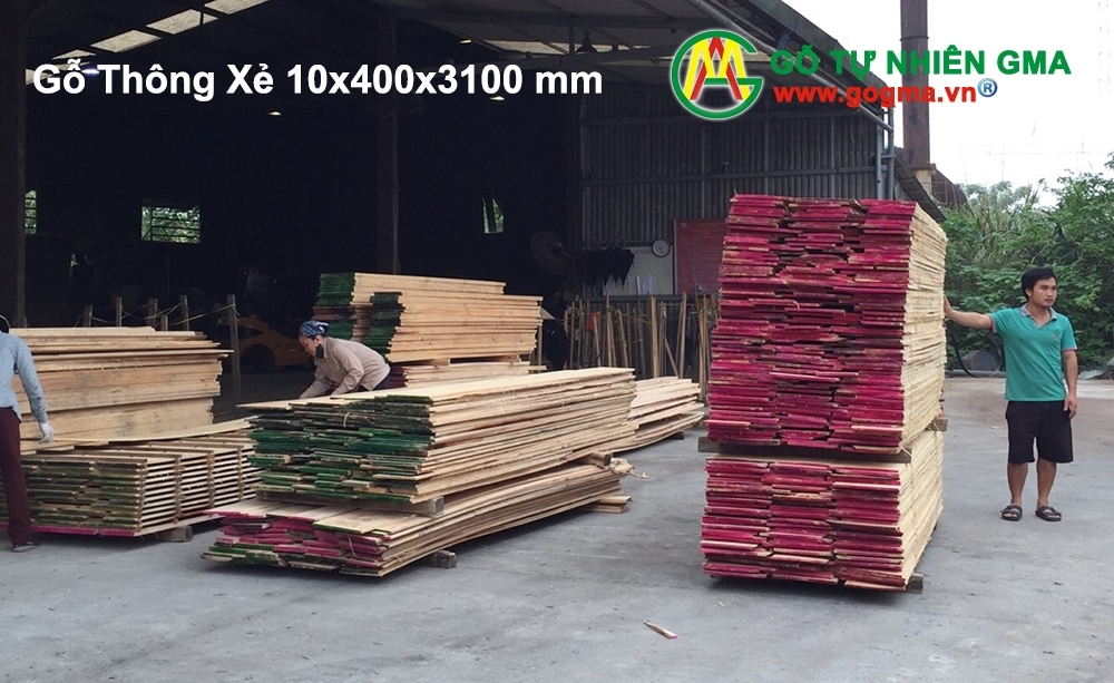 Nhà máy sản xuất gỗ thông xẻ SHT