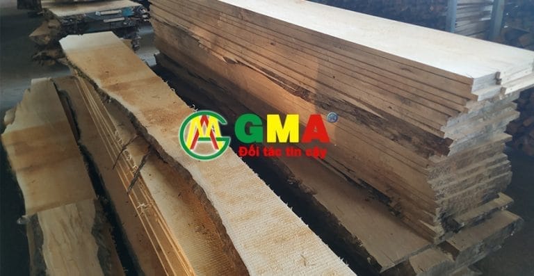 go maple xe say gma 4