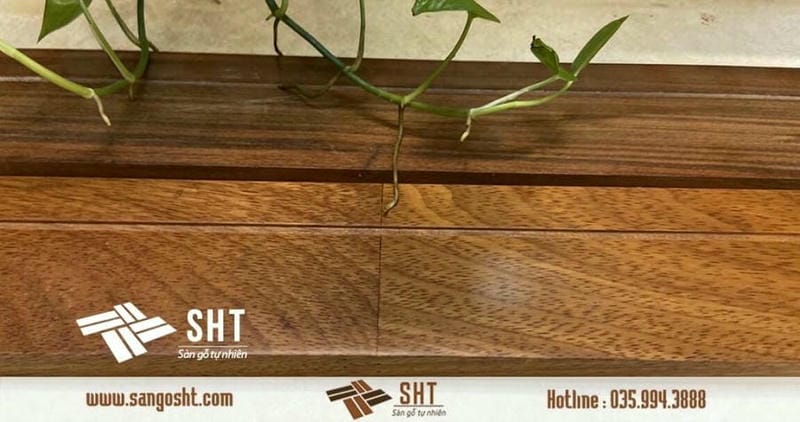 Nội thất SHT®